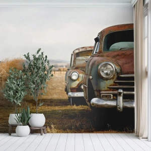 Tapet Premium Canvas - O odihnă binemeritată - Mașină veche, Automobile, Epocă - 100x70 cm