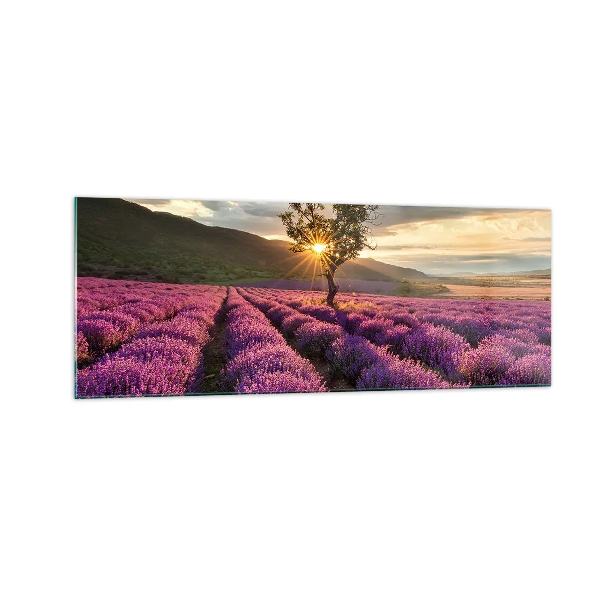 Tablou pe sticlă - Aroma în liliac - 140x50 cm
