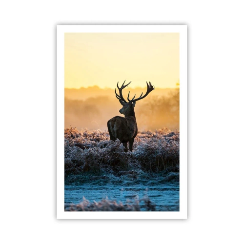 Poster - Încoronat pe domeniul său - 61x91 cm