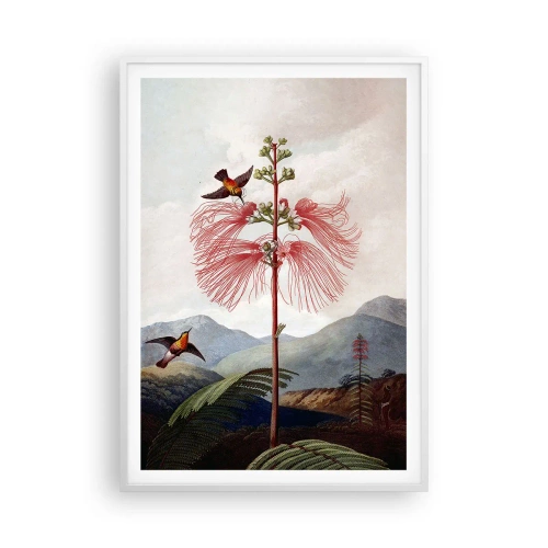 Poster în ramă albă - Într-un paradis tropical - 70x100 cm