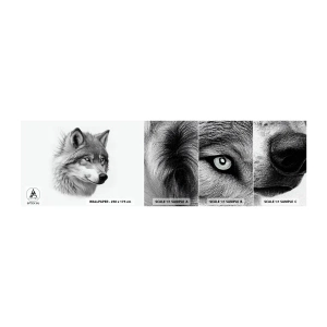 Mostră tapet autocolant Deluxe Sticker - Alfa - fără îndoială - Lup, Animal, scandinav - 100x30 cm