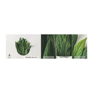 Mostră tapet autocolant Deluxe Sticker - Curiozitatea nestăvilită - Salvie, Frunza de salvie, Iarbă - 100x30 cm