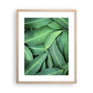 Poster în ramă de stejar deschis - Suculente și proaspete - 40x50 cm