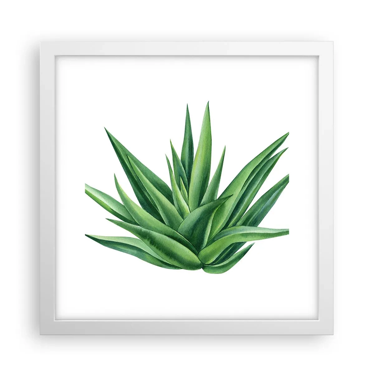 Poster în ramă albă - Verde - putere - viață - 30x30 cm