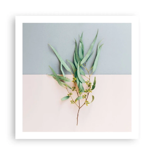 Poster - Subtilitate pastelată - 60x60 cm