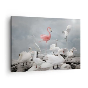 Tablou pe pânză Canvas - Un flamingo roz printre lebede albe pe fundalul unui lac - 70x50cm - De unde am venit? - Decorațiune modernă pentru perete pentru living și dormitor ARTTOR