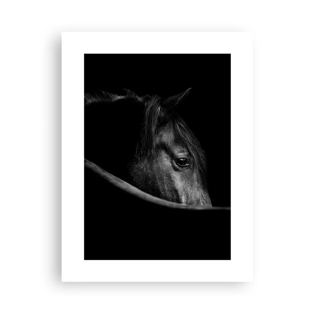 Poster - Prințul negru - 30x40 cm