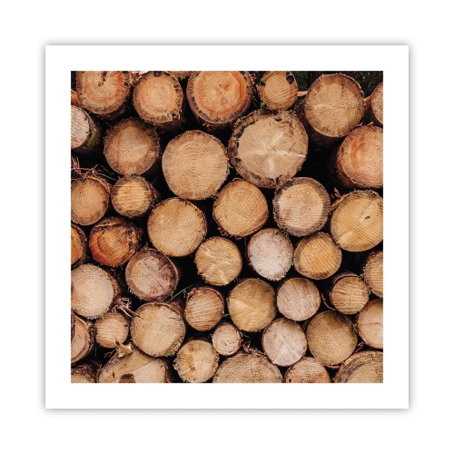 Poster - Un nou început - 50x50 cm