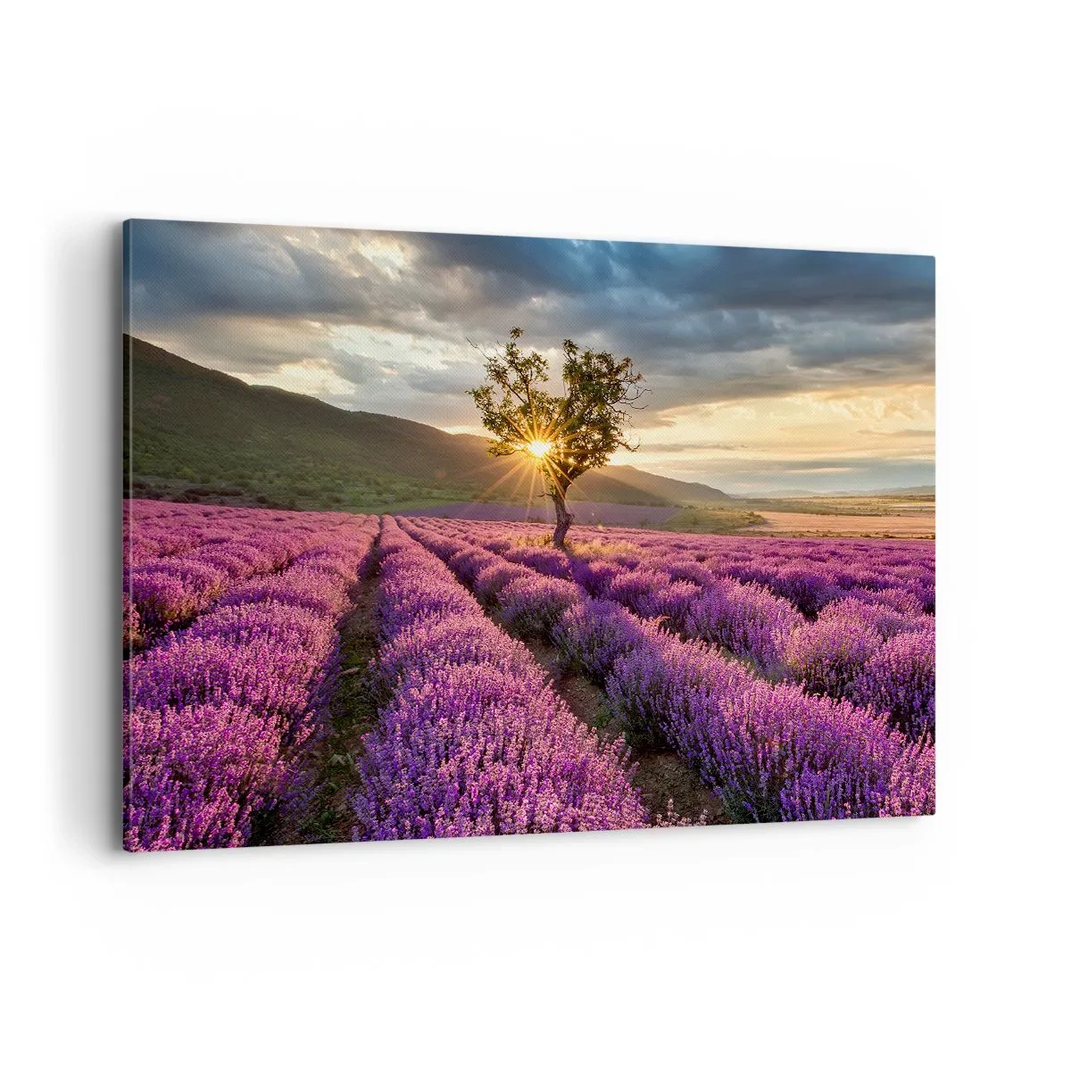 Tablou pe pânză - Aroma în liliac - 120x80 cm