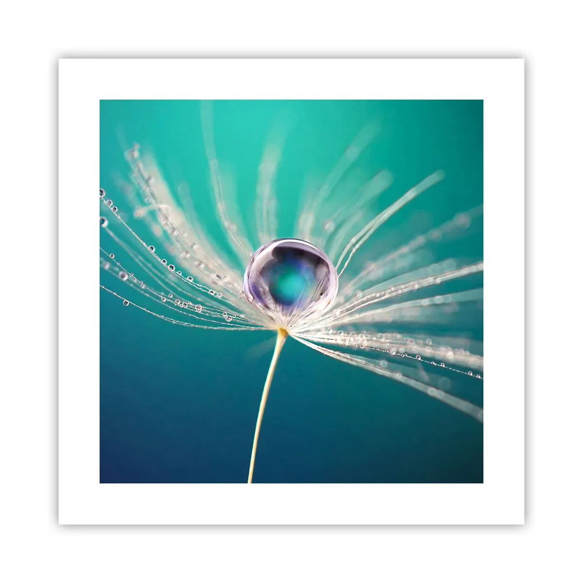 Poster - Moment mistic - 40x40 cm