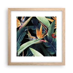 Poster în ramă de stejar deschis - Florile de flacără ale tropicelor - 30x30 cm