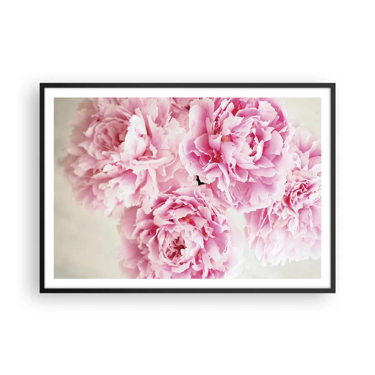 Poster în ramă neagră - În luxul roz - 100x70 cm