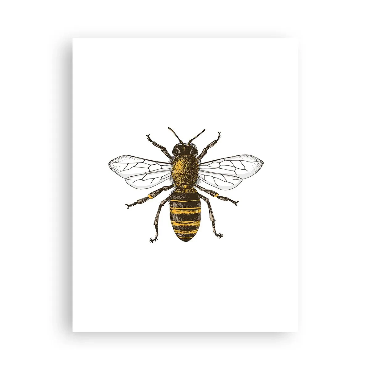 Poster - Frumoasă și bună - 30x40 cm