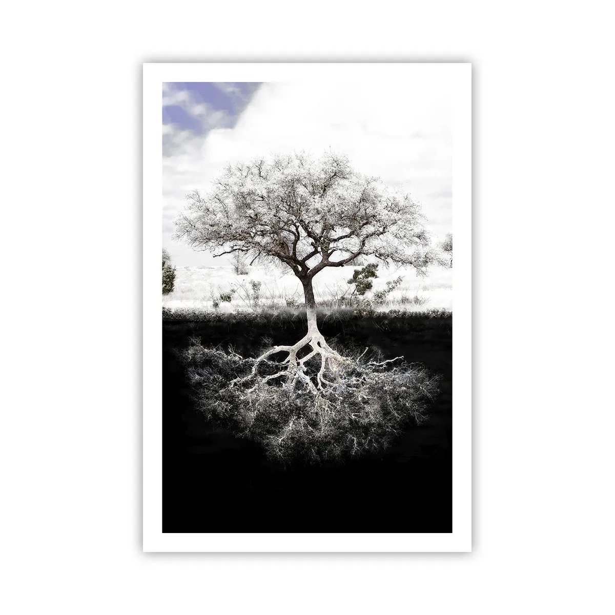 Poster - Descoperire - 61x91 cm