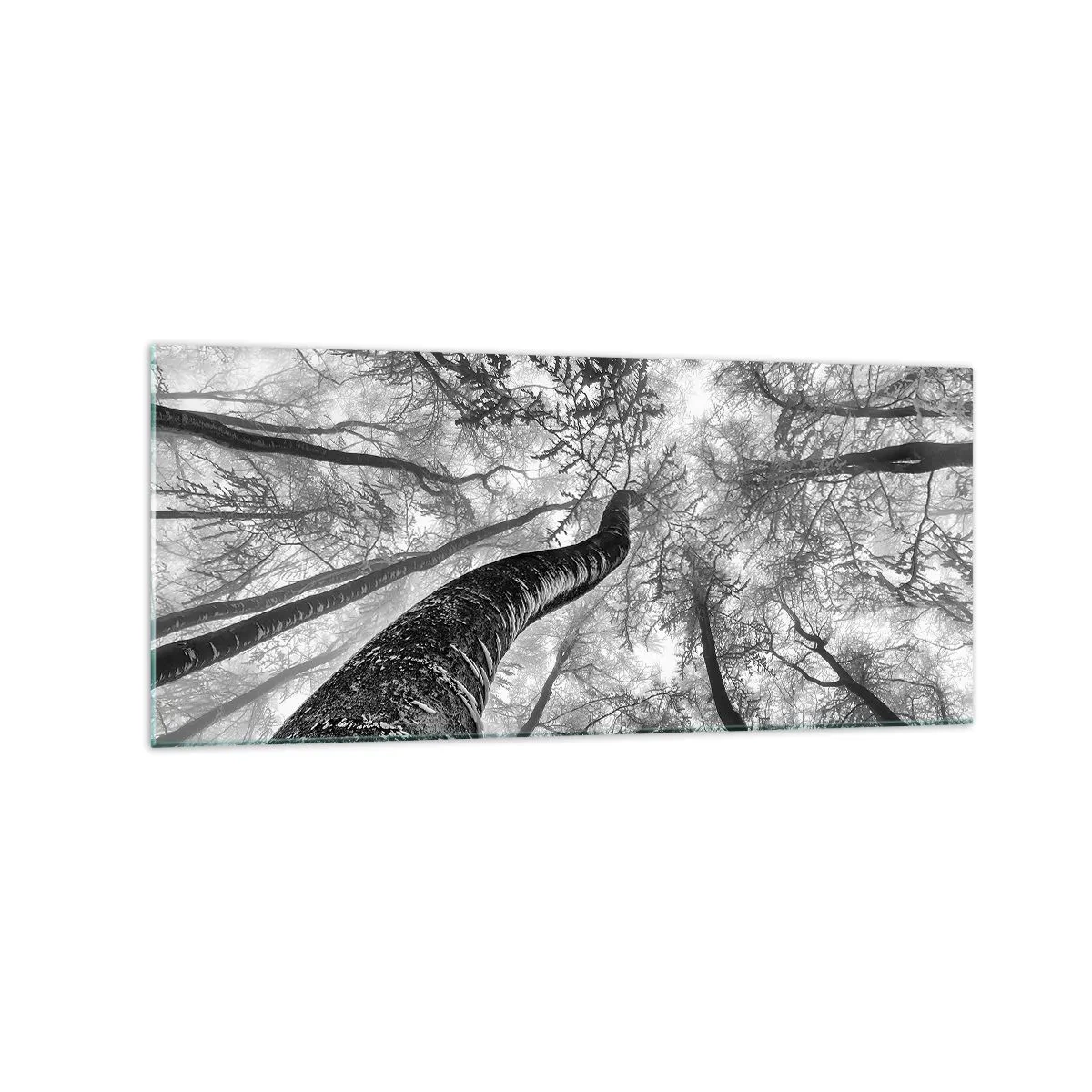 Tablou pe sticlă - Cursa spre lumină - 120x50 cm