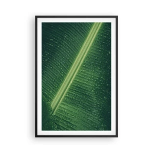 Poster în ramă neagră - Structura verdelui - 61x91 cm