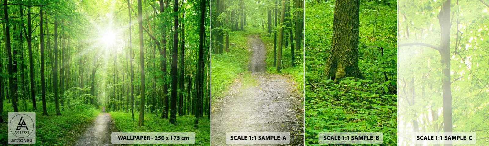 Mostră de Tapet Standard Eco - Catedrala verde - Peisaj, pădure, Raze de soare - 100x30 cm