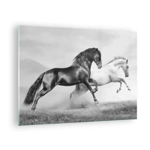 Tablou pe sticlă - Cai negri și albi într-un cadru dinamic - 70x50cm - Îngeri și demoni - Decorațiune modernă pentru perete pentru living și dormitor ARTTOR