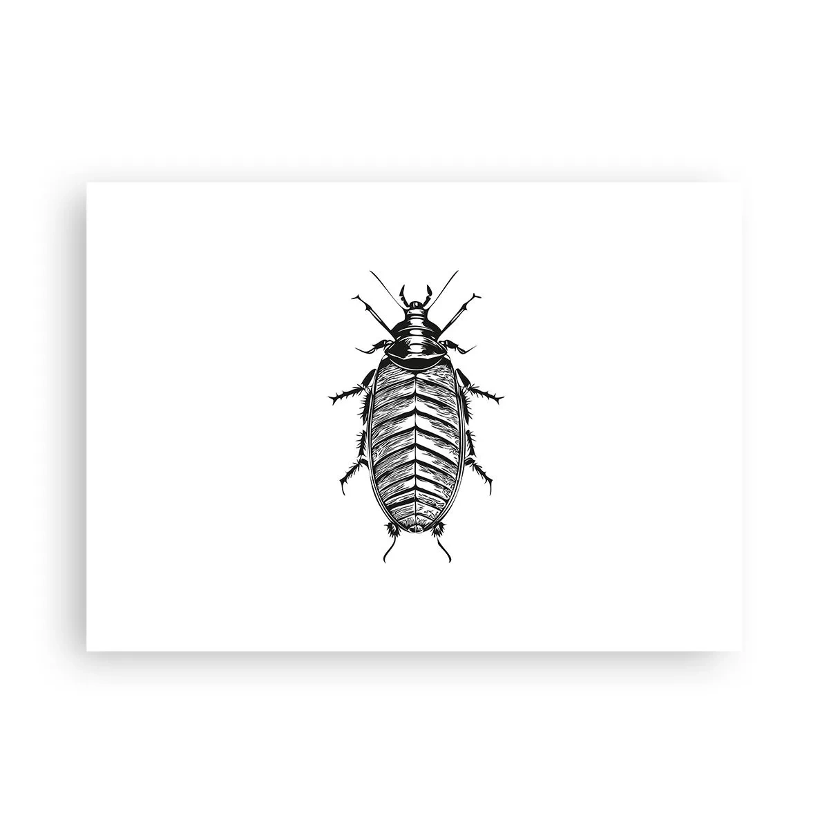 Poster - Ce specimen! - 70x50 cm