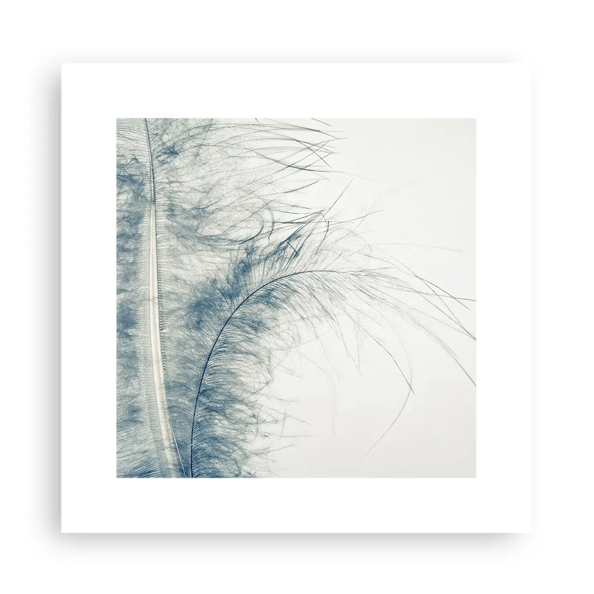 Poster - Șoapta naturii - 30x30 cm