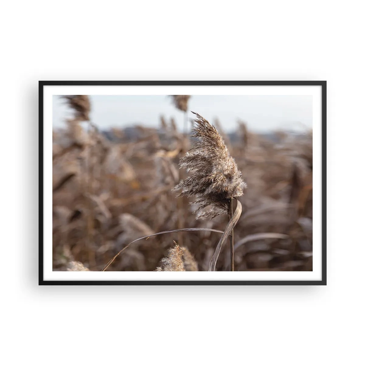 Poster în ramă neagră - E timpul să zbori cu vântul - 100x70 cm