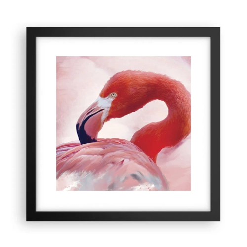 Poster în ramă neagră - Frumusețea păsărilor - 30x30 cm