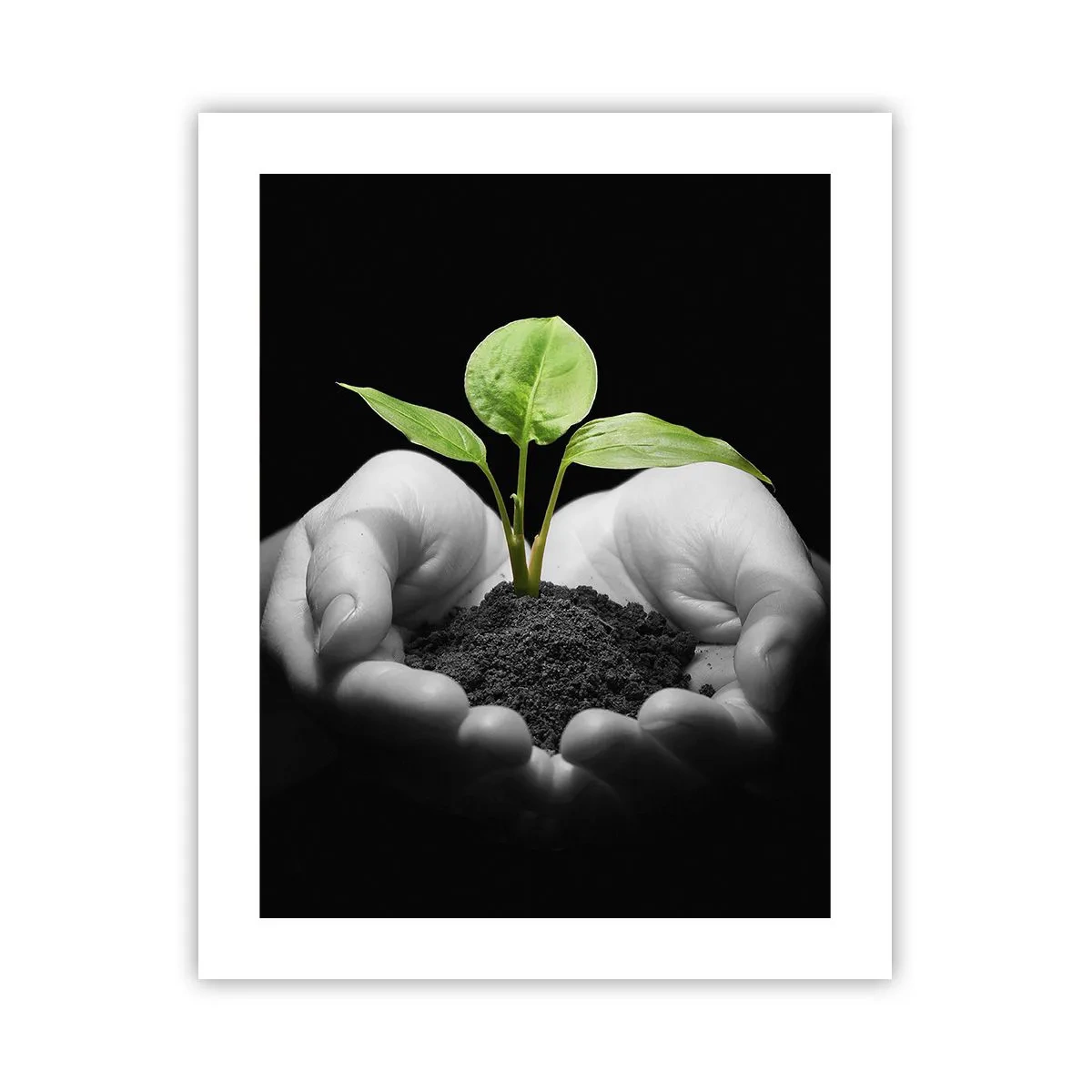 Poster - Iubesc natura, o protejez - 40x50 cm