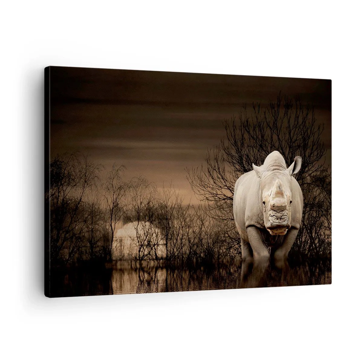 Tablou pe pânză Canvas - Rinocer printre copaci la apus, natură sălbatică. - 70x50cm - Albul împotriva naturii - Decorațiune modernă pentru perete pentru living și dormitor ARTTOR