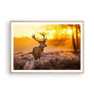 Poster în ramă de stejar deschis - Regele pădurii de toamnă - 100x70 cm