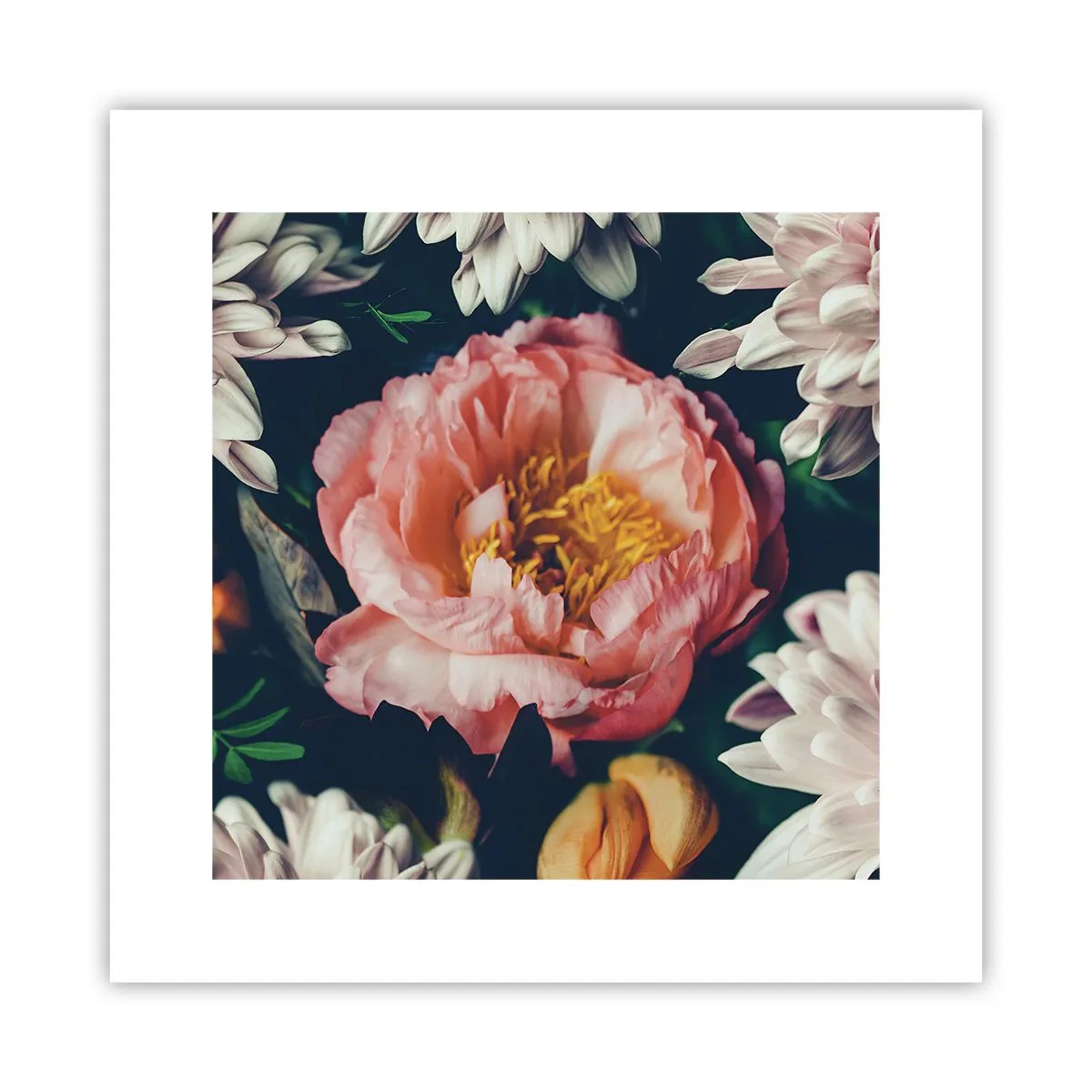 Poster - Cu splendoare barocă - 30x30 cm