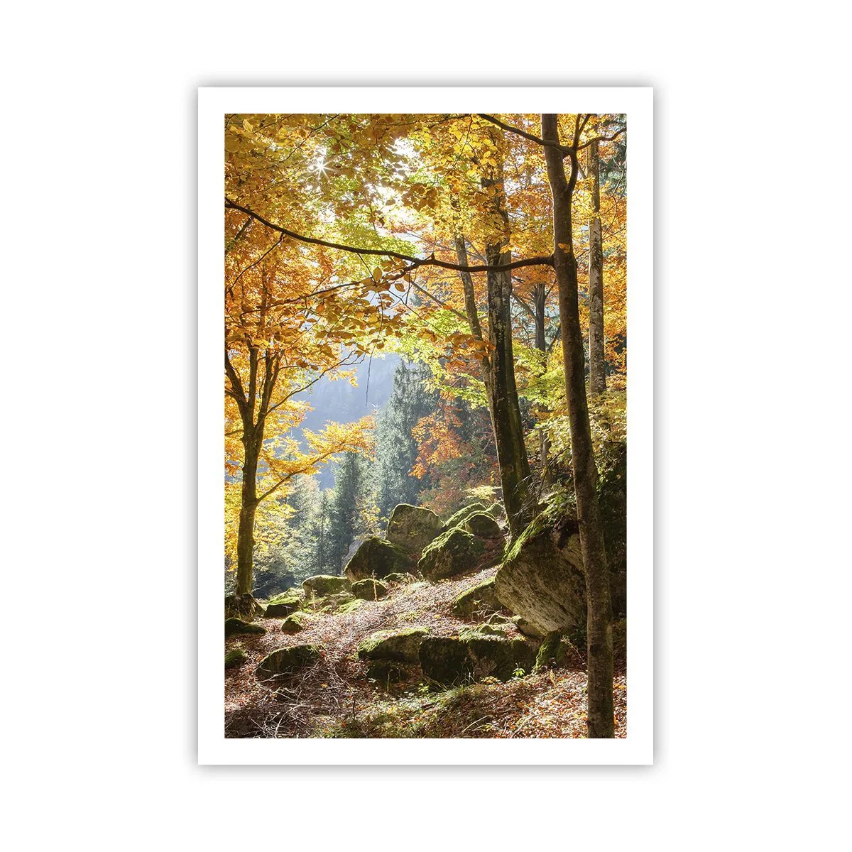 Poster - Timp de relaxare - 61x91 cm