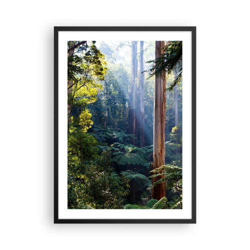 Poster în ramă neagră - Pădurea tropicală iluminată de lumina soarelui - 50x70cm - O poveste din pădure - Decorațiune modernă pentru perete pentru living și dormitor ARTTOR