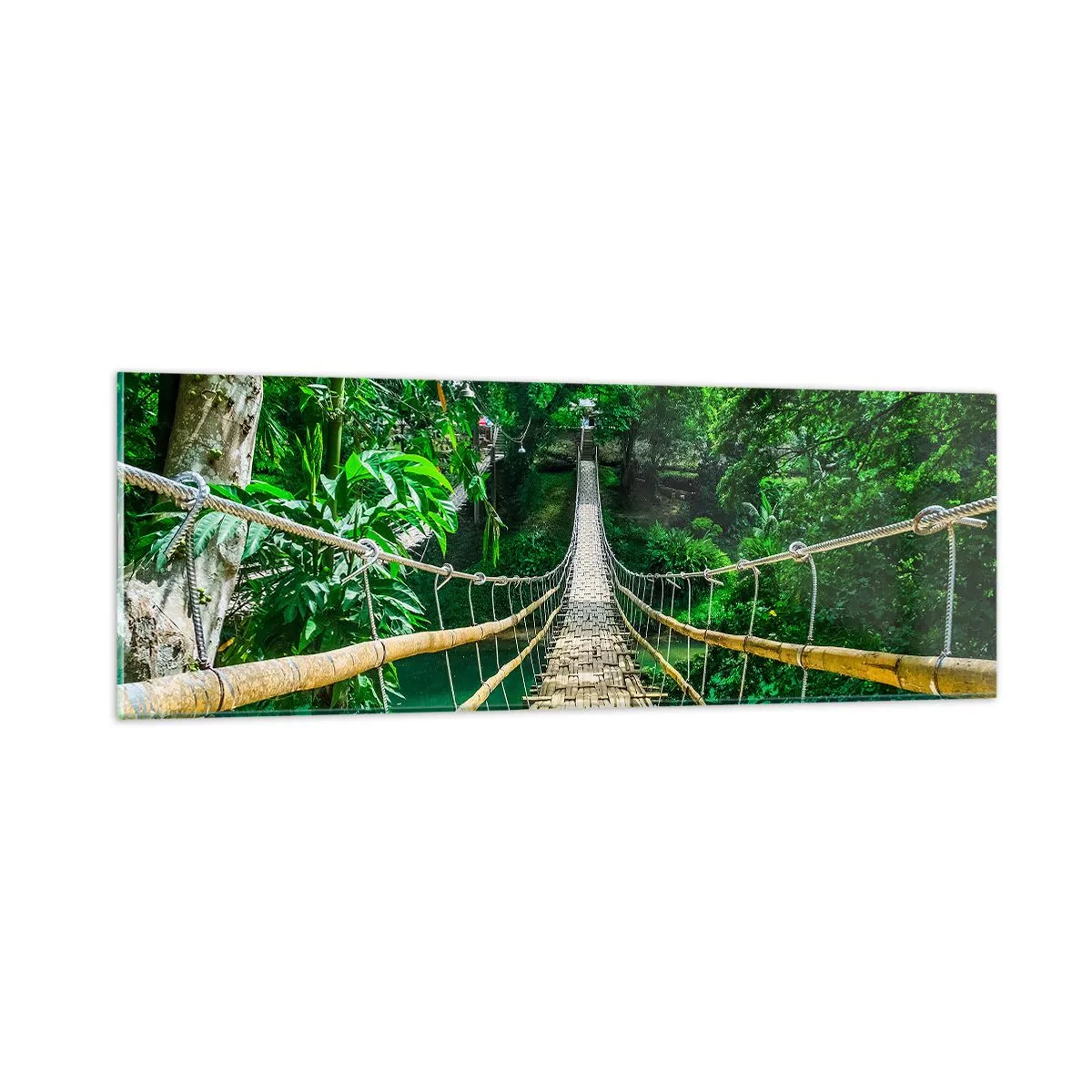 Tablou pe sticlă - Pod de maimuțe peste verdeață - 90x30 cm