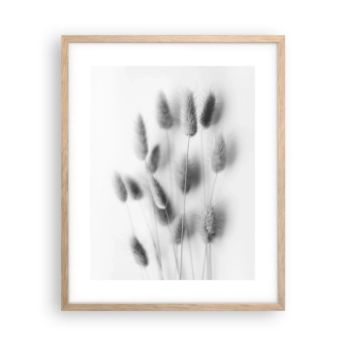 Poster în ramă de stejar deschis - Pufoșenia ierbii - 40x50 cm
