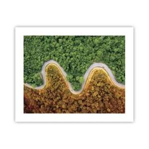 Poster - Frontiere și defilee - 50x40 cm