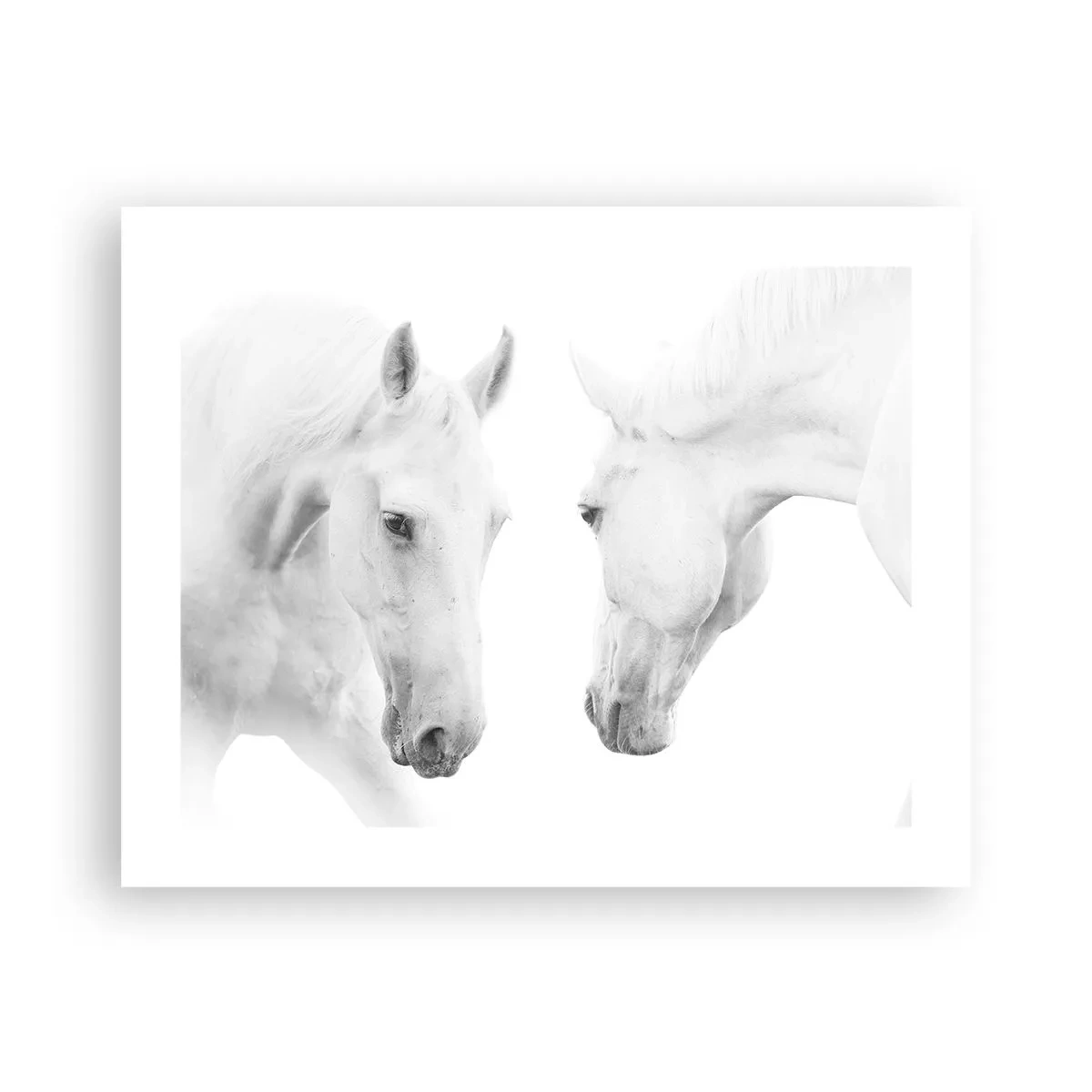 Poster - Este aceasta o prietenie...? - 50x40 cm