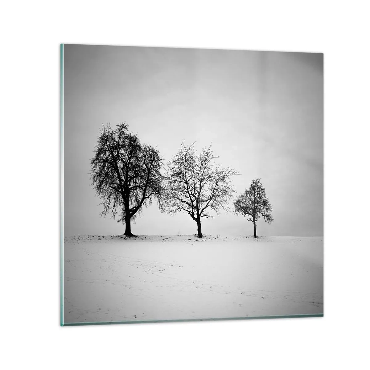 Tablou pe sticlă - La ce visează? - 50x50 cm