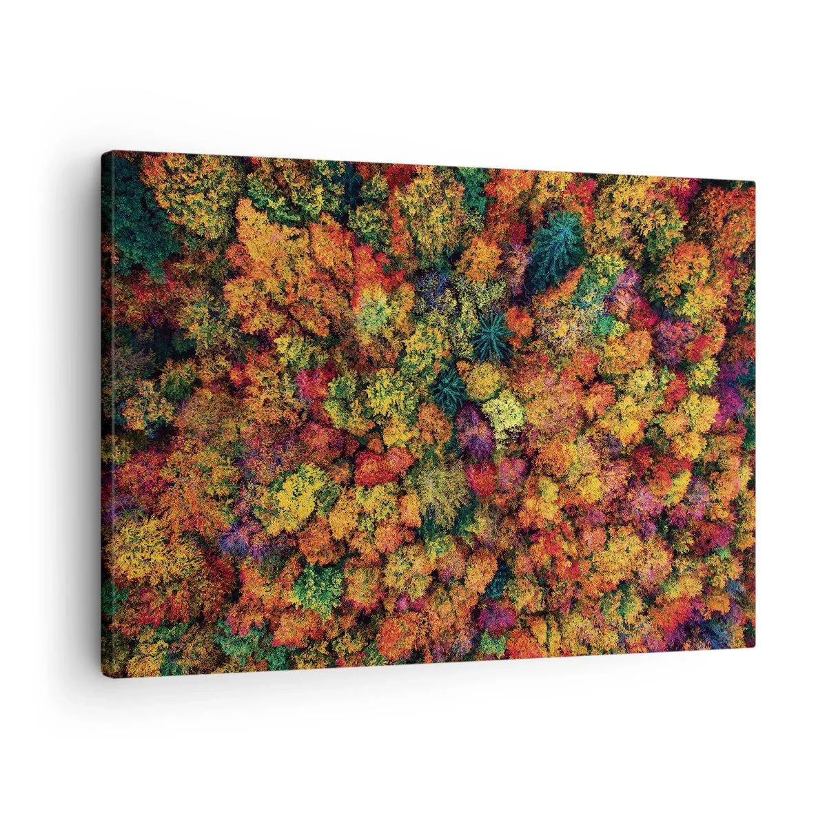 Tablou pe pânză Canvas - Coroane de copaci colorate în paleta de toamnă - 70x50cm - Buchet de copaci de toamnă - Decorațiune modernă pentru perete pentru living și dormitor ARTTOR
