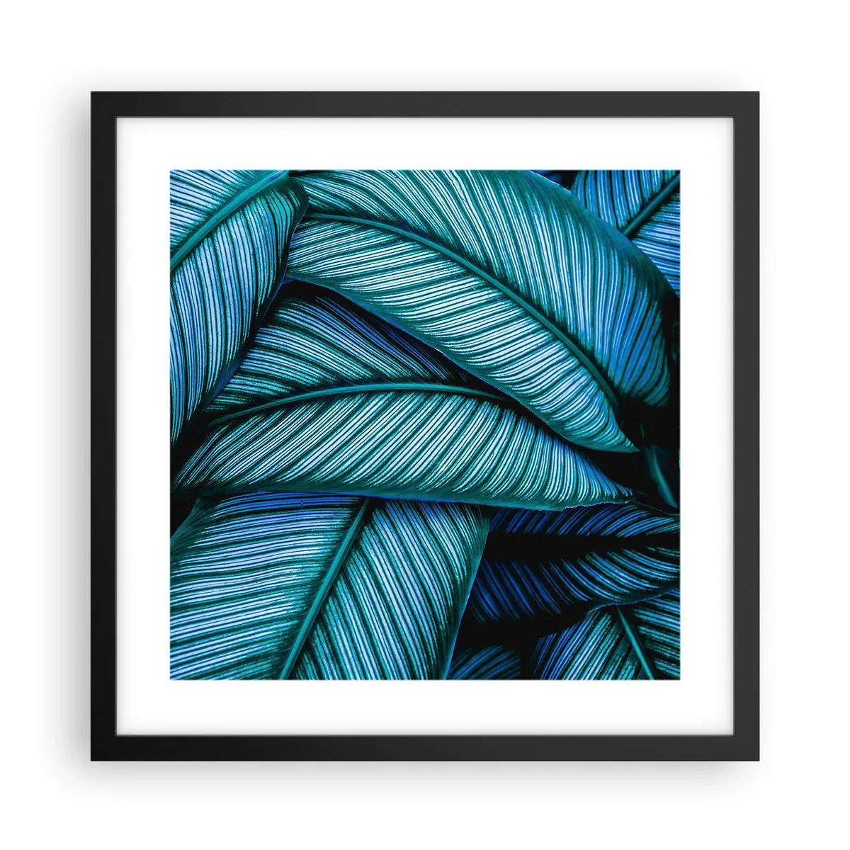 Poster în ramă neagră - Linii de viață - 40x40 cm