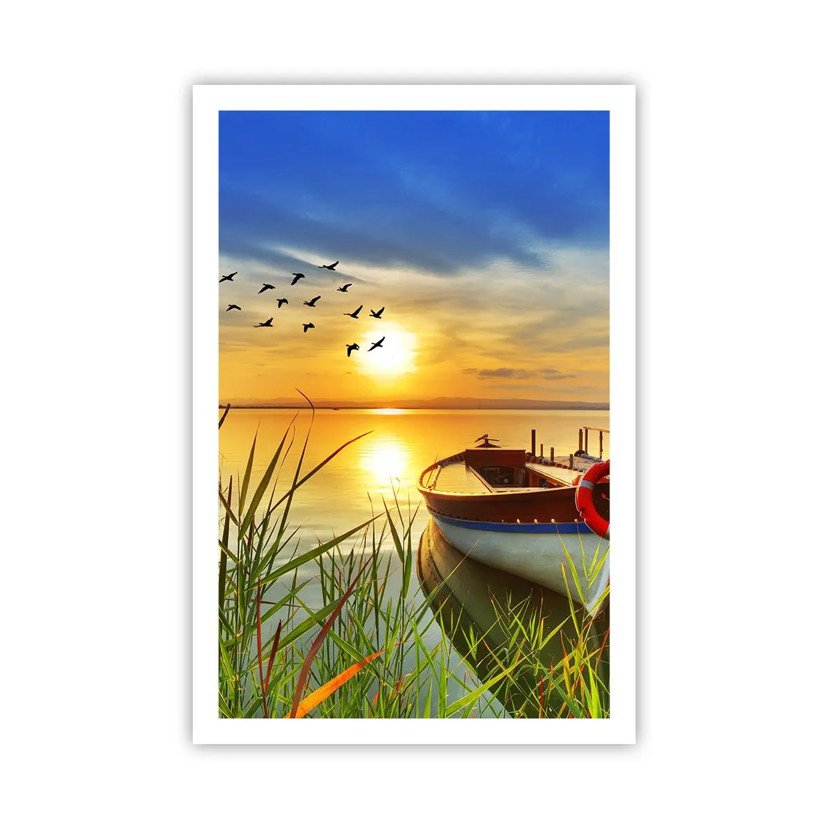 Poster - Cormoranii pleacă deja - 61x91 cm