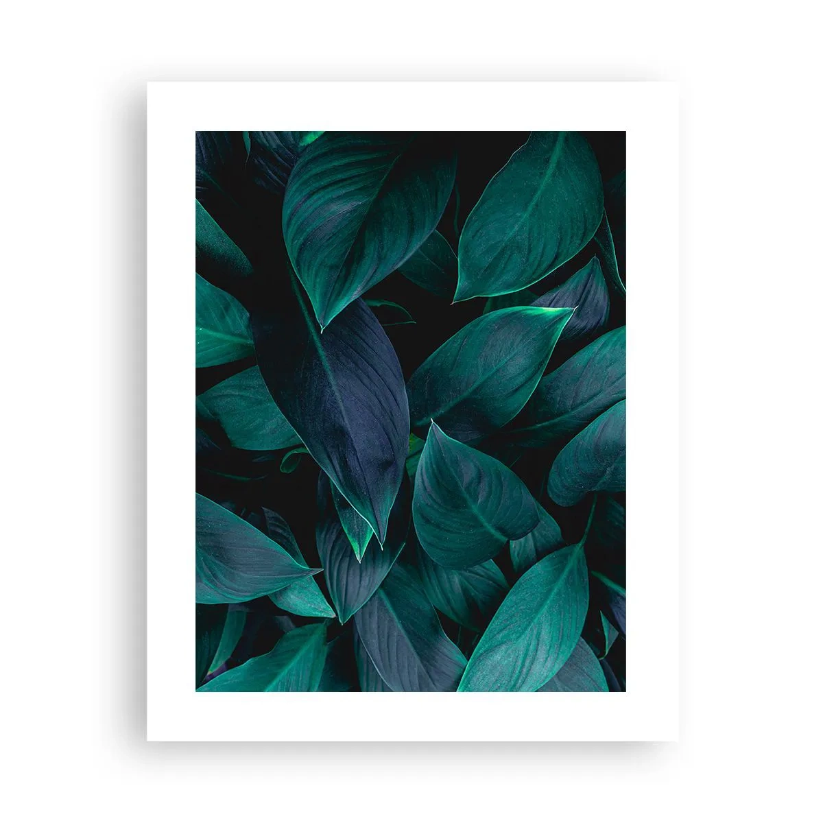 Poster - Verdeața în sine - 40x50 cm