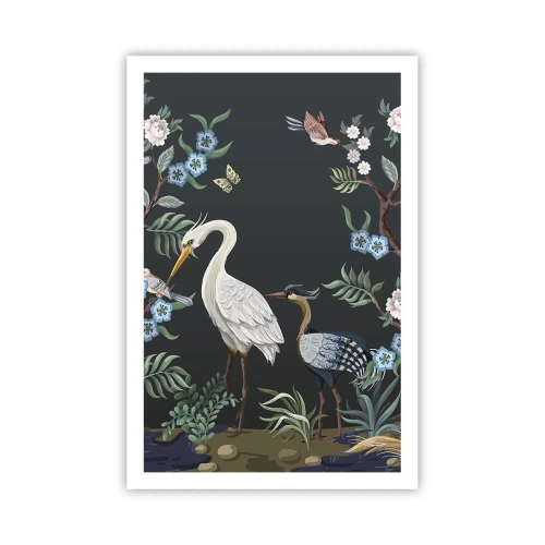 Poster - Parada păsărilor - 61x91 cm