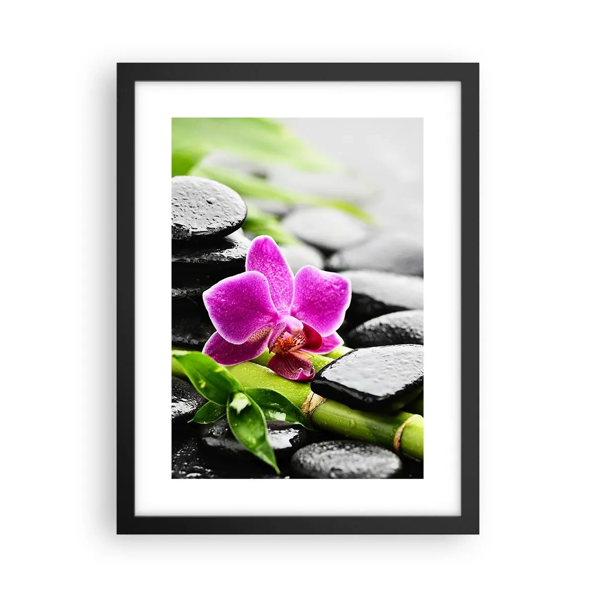 Poster în ramă neagră - Într-un echilibru pașnic - 30x40 cm