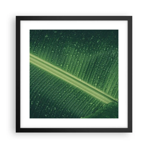 Poster în ramă neagră - Structura verdelui - 40x40 cm