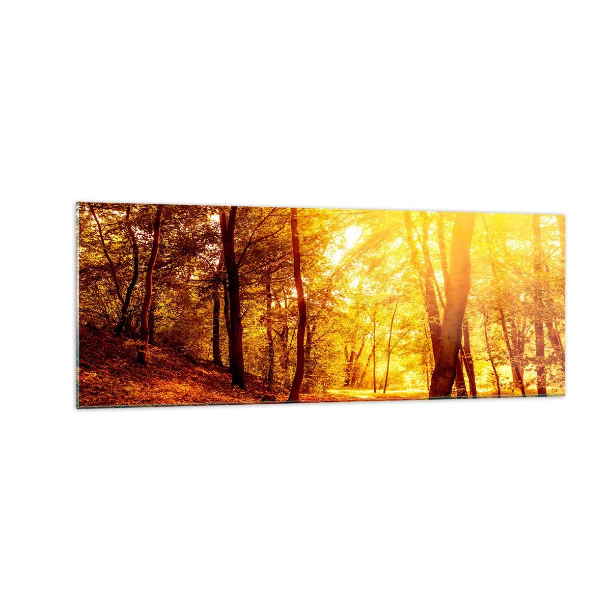 Tablou pe sticlă - Spre o poiană de aur - 140x50 cm