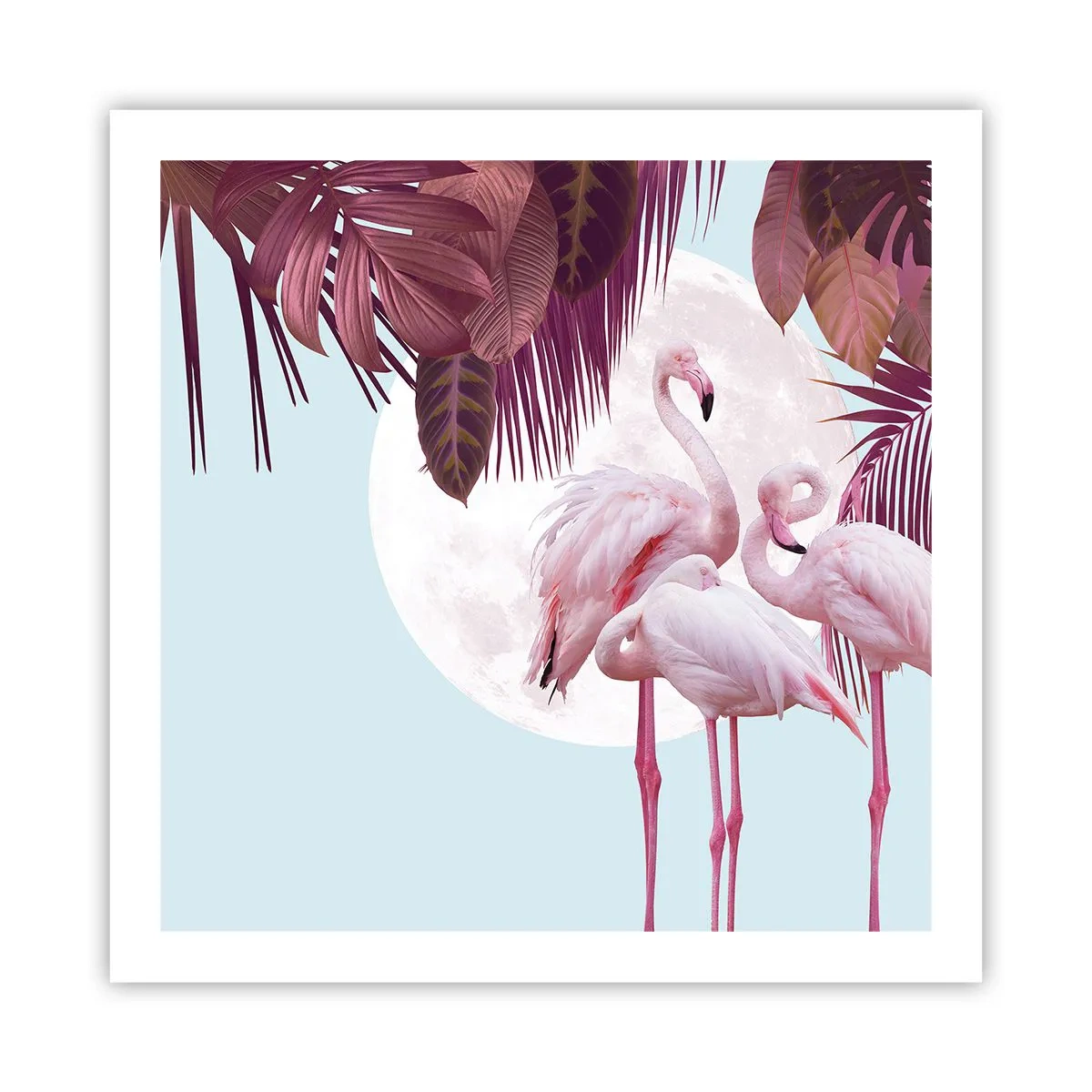 Poster - Harul a trei păsări - 60x60 cm