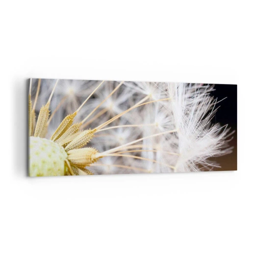 Tablou pe pânză - Chiar înainte de zbor... - 120x50 cm