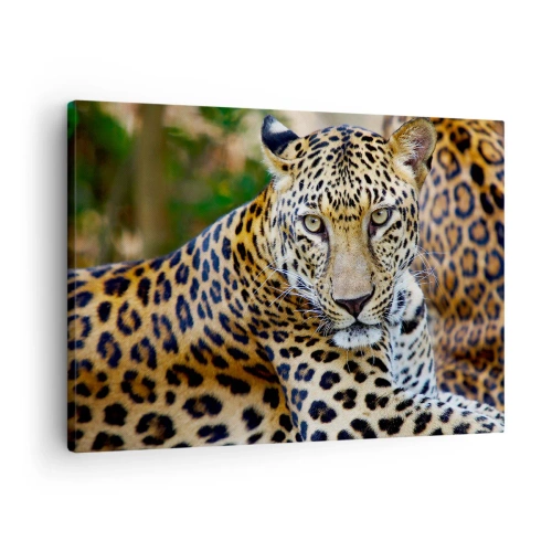 Tablou pe pânză Canvas - Jaguar odihnindu-se în mediu natural, cu un fundal verde. - 70x50cm - Sălbatic și liniștit - Decorațiune modernă pentru perete pentru living și dormitor ARTTOR