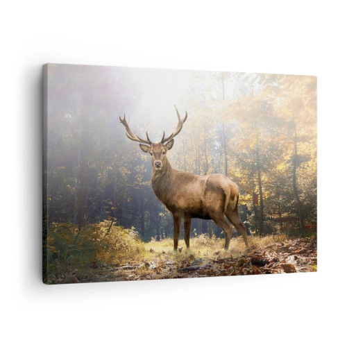 Tablou pe pânză Canvas - Cerb în pădurea de toamnă cu raze de soare - 70x50cm - Măreție calmă - Decorațiune modernă pentru perete pentru living și dormitor ARTTOR