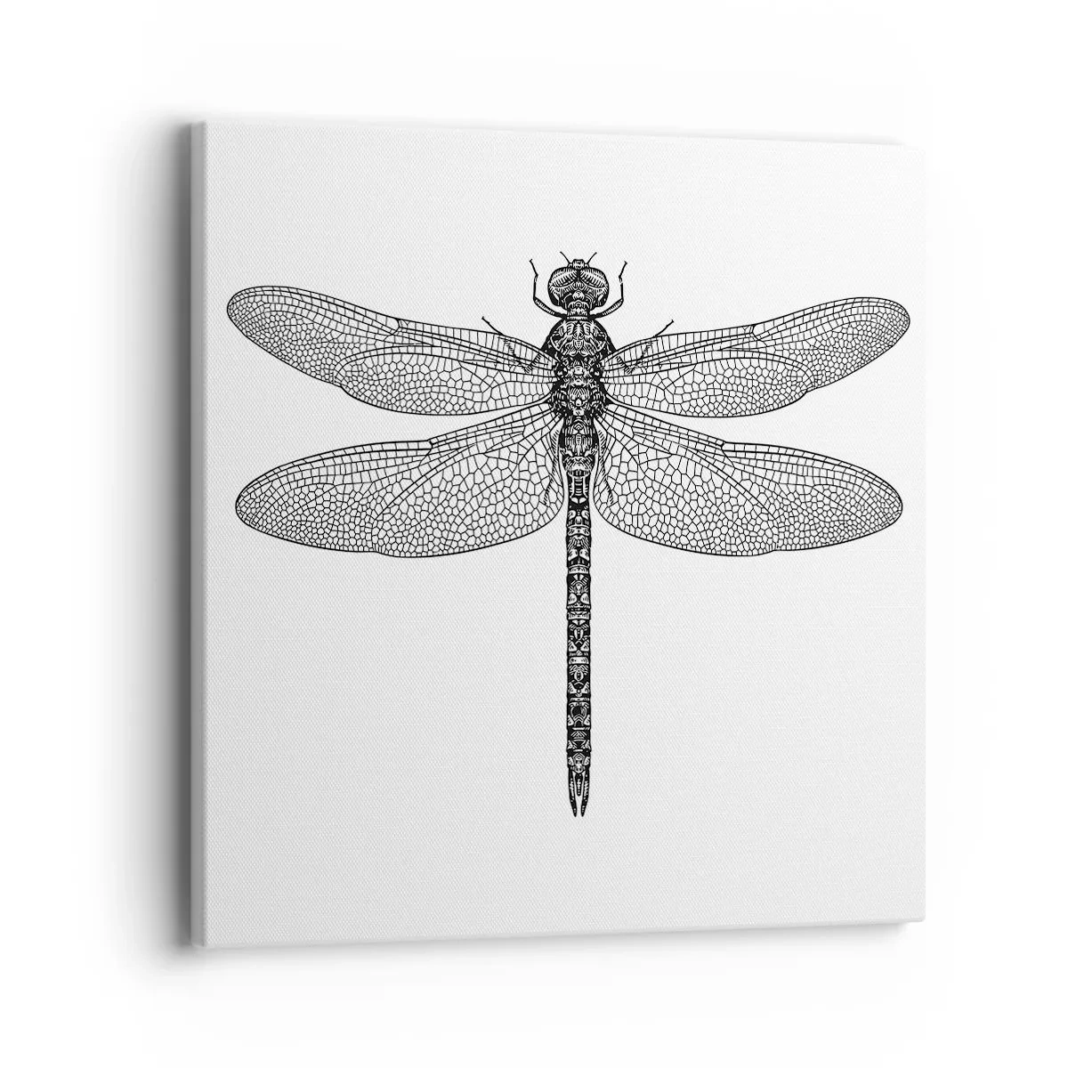 Tablou pe pânză - Precizia naturii - 40x40 cm